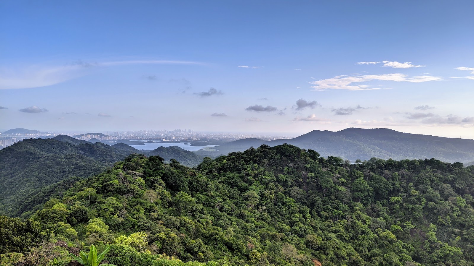 Sanjay Gandhi National Park