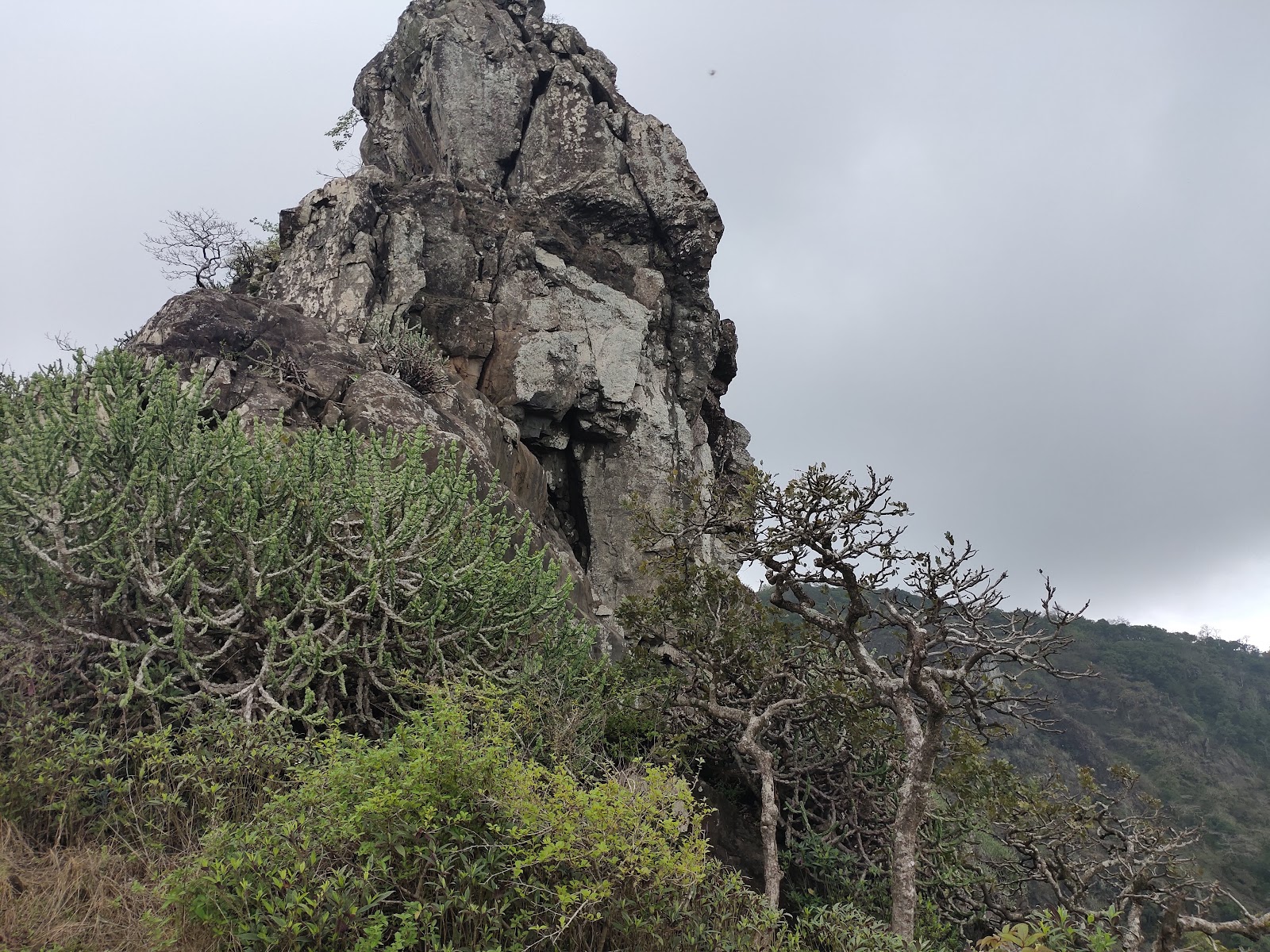 Tungareshwar Wildlife Sanctuary