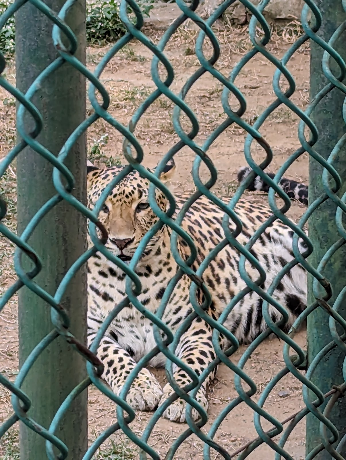 Jawaharlal Nehru Biological Park