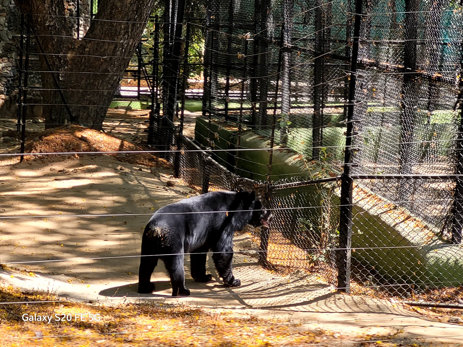 Bannerghatta National Park