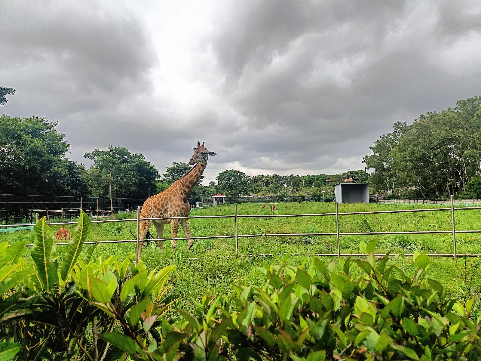 Bannerghatta National Park