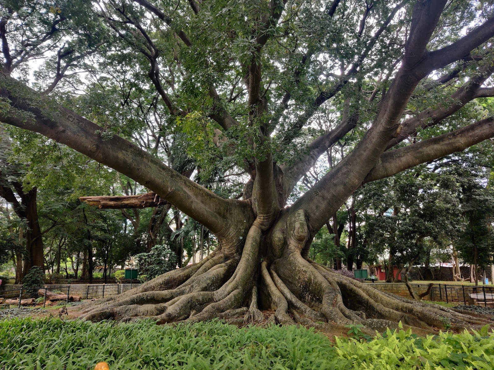 Lal Bagh Botanical Garden