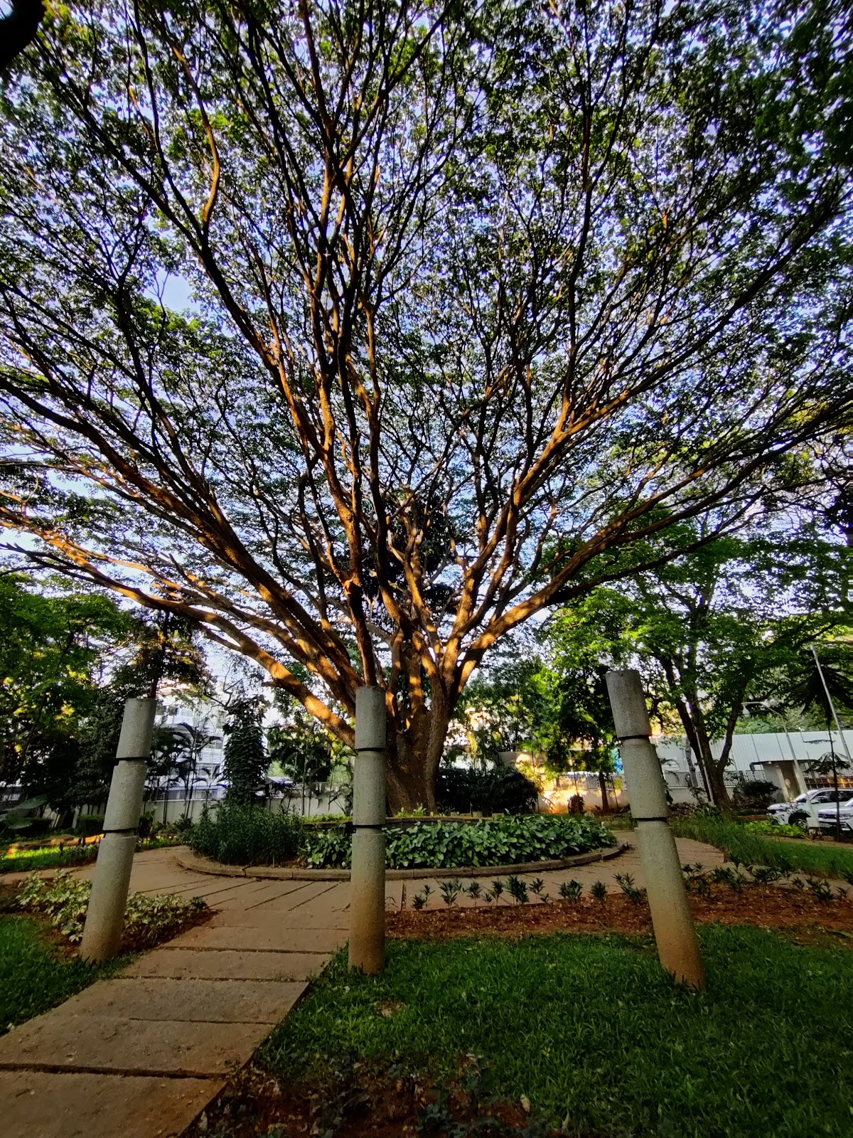 National Gallery of Modern Art