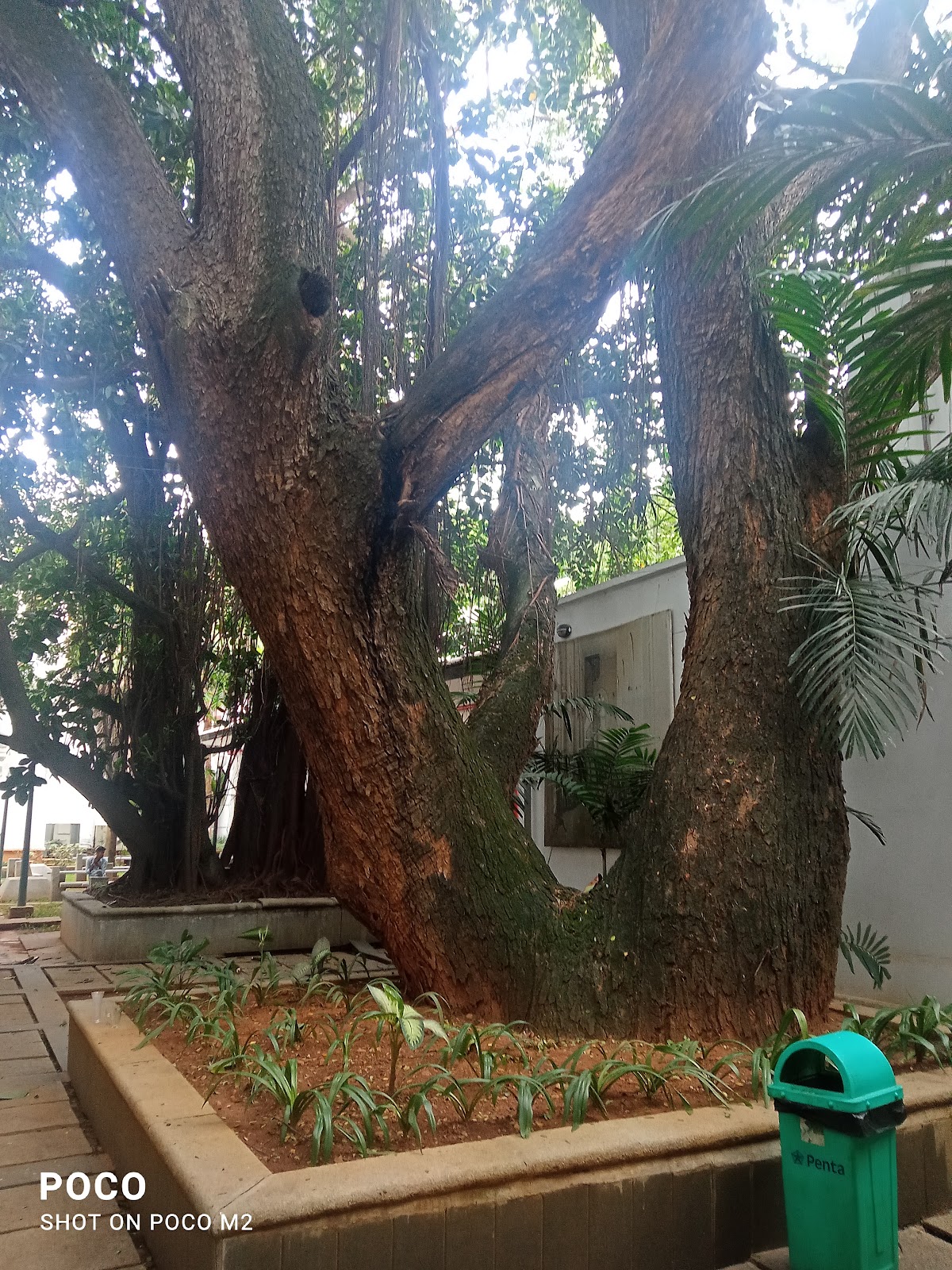 National Gallery of Modern Art