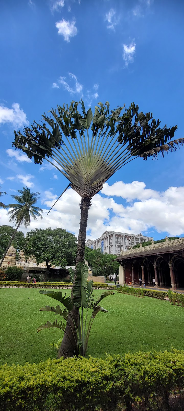 Tipu Sultans Summer Palace