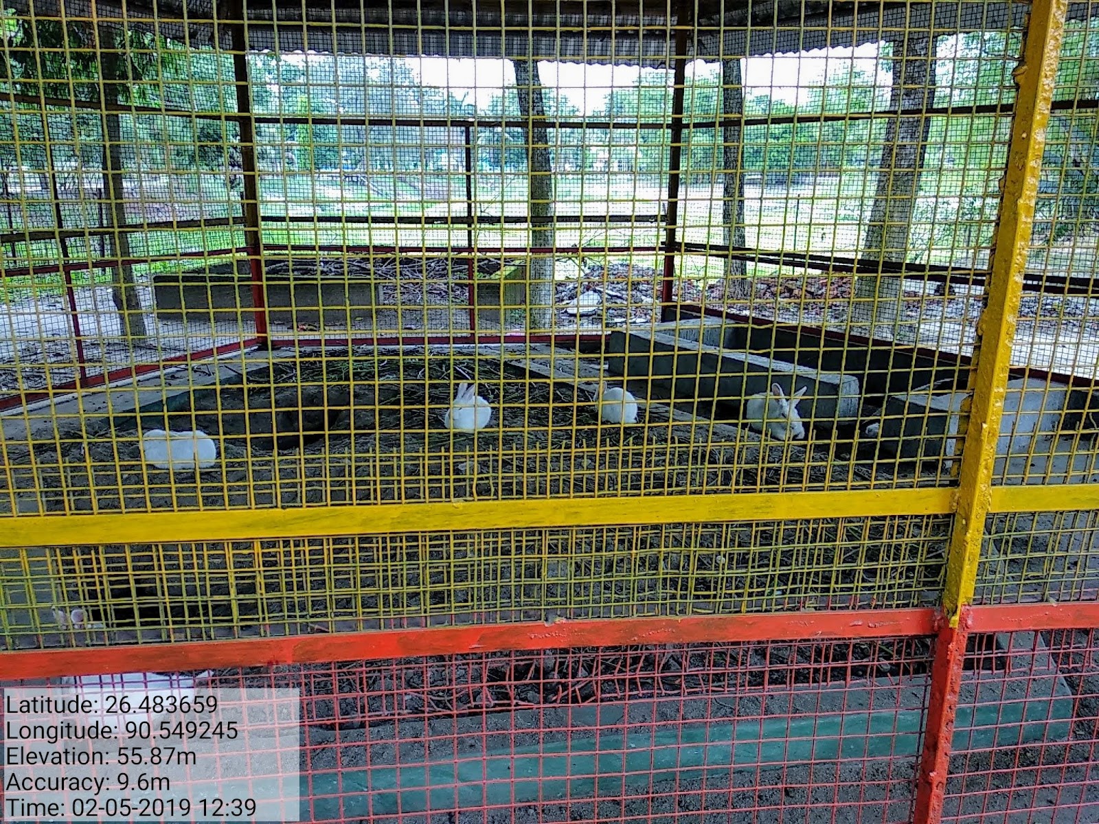 Bongaigaon District Museum