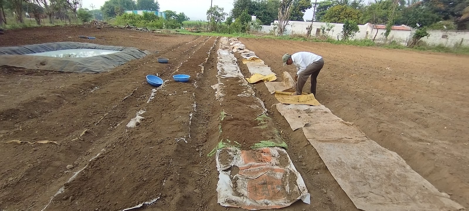 Sugarcane Fields Viewpoint