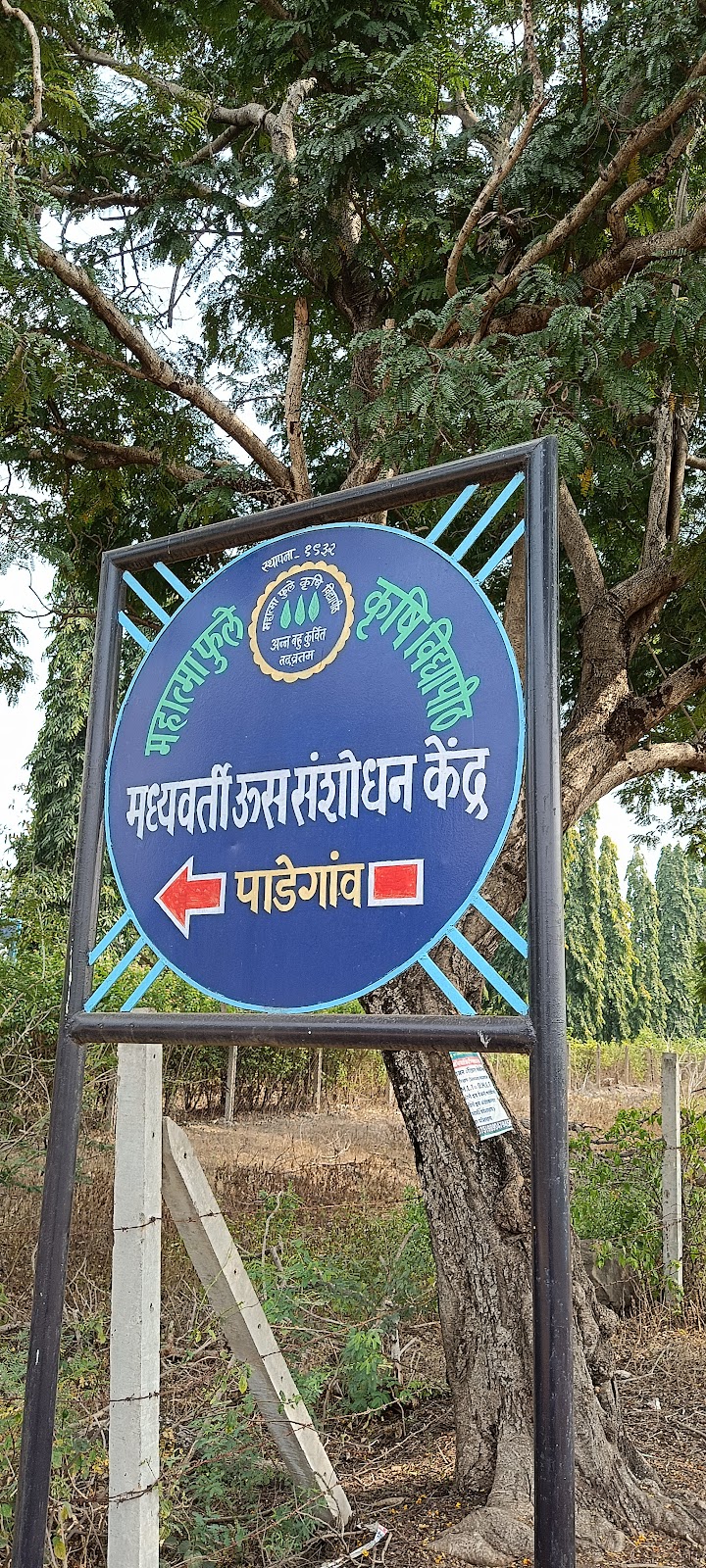 Sugarcane Fields Viewpoint