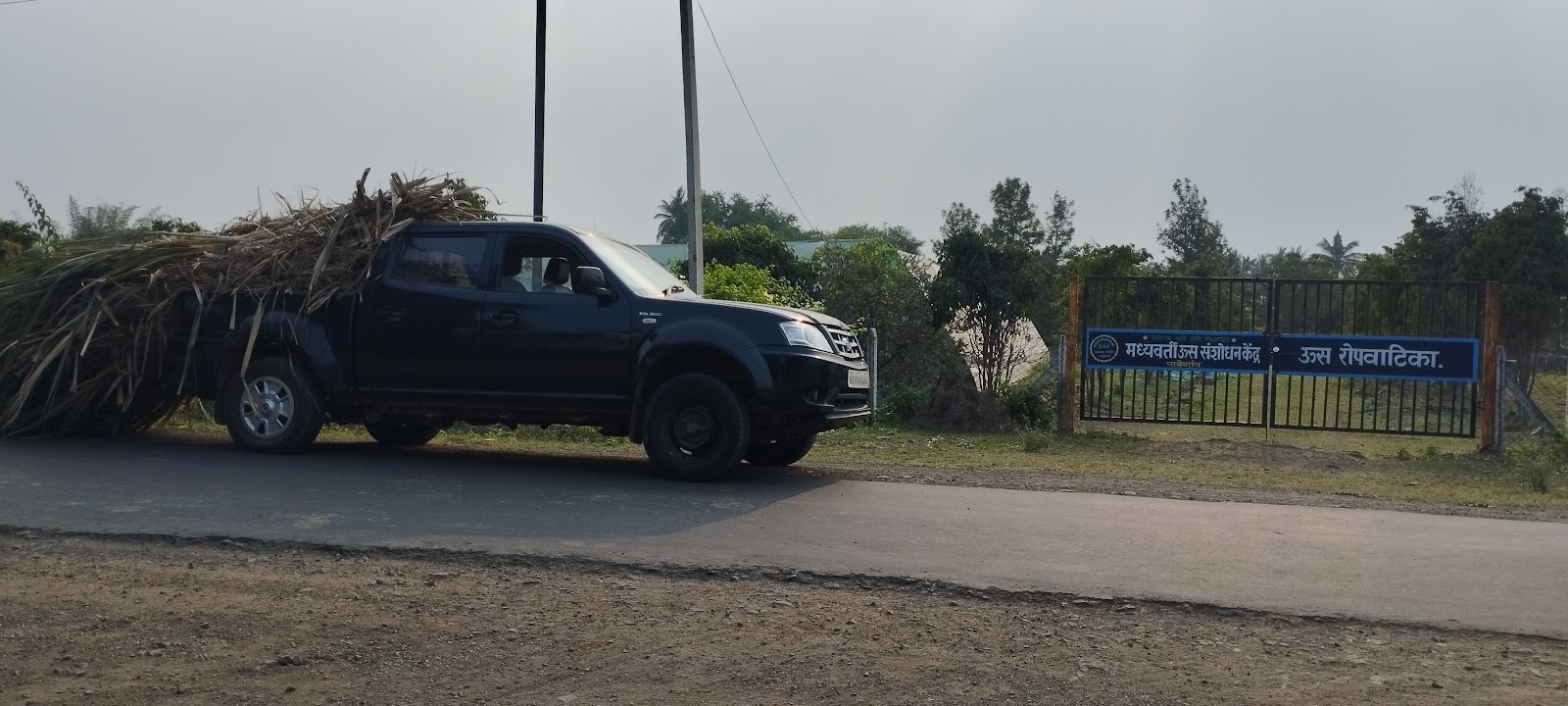 Sugarcane Fields Viewpoint