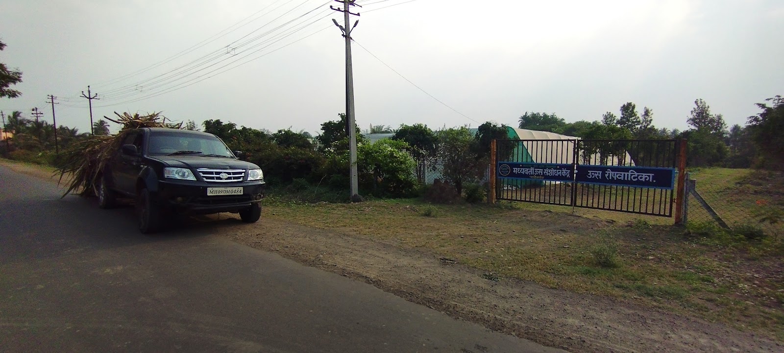 Sugarcane Fields Viewpoint