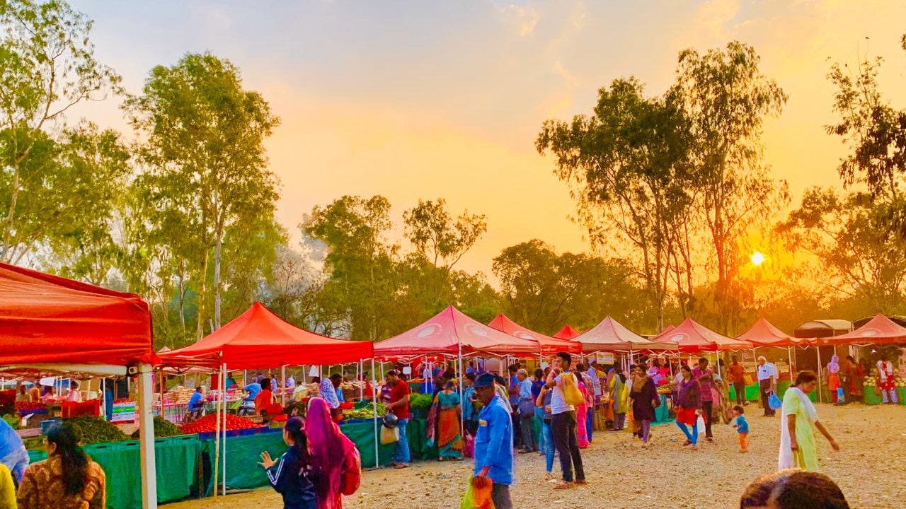 Weekly Farmers Market