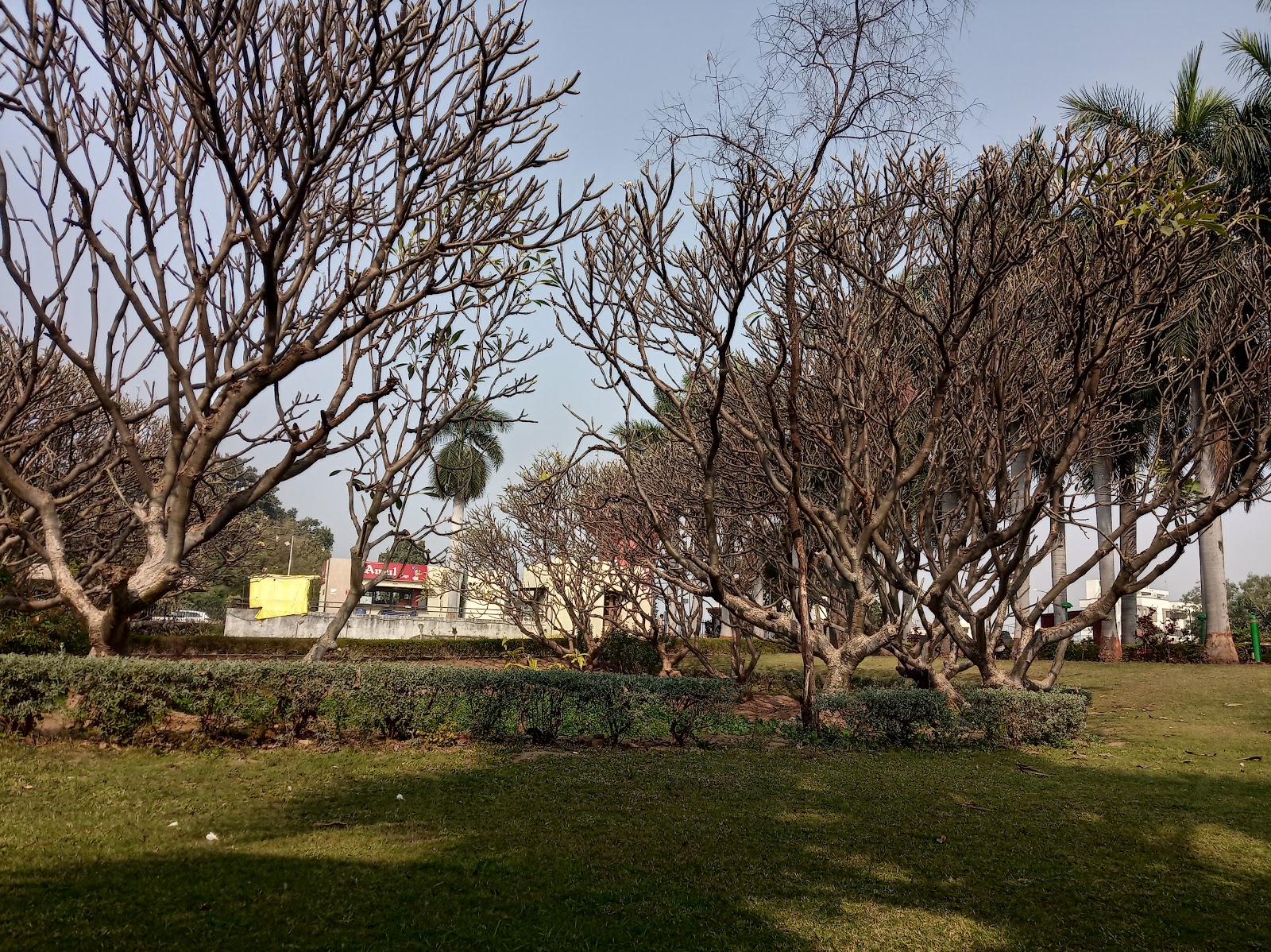Freedom Memorial Borsad