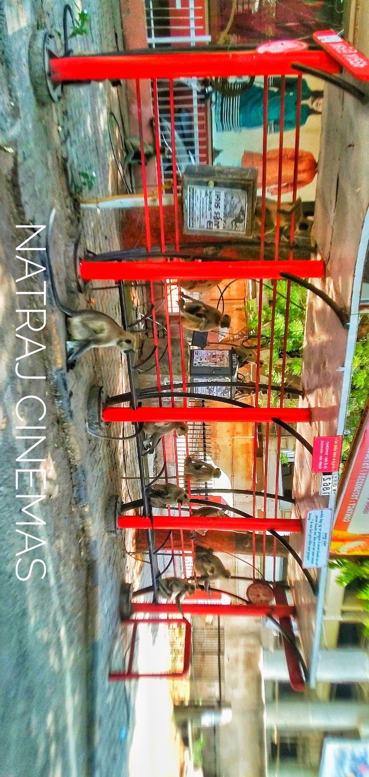 Local Handloom Workshop