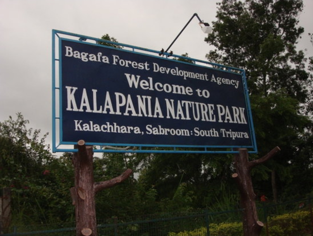 Nature Park