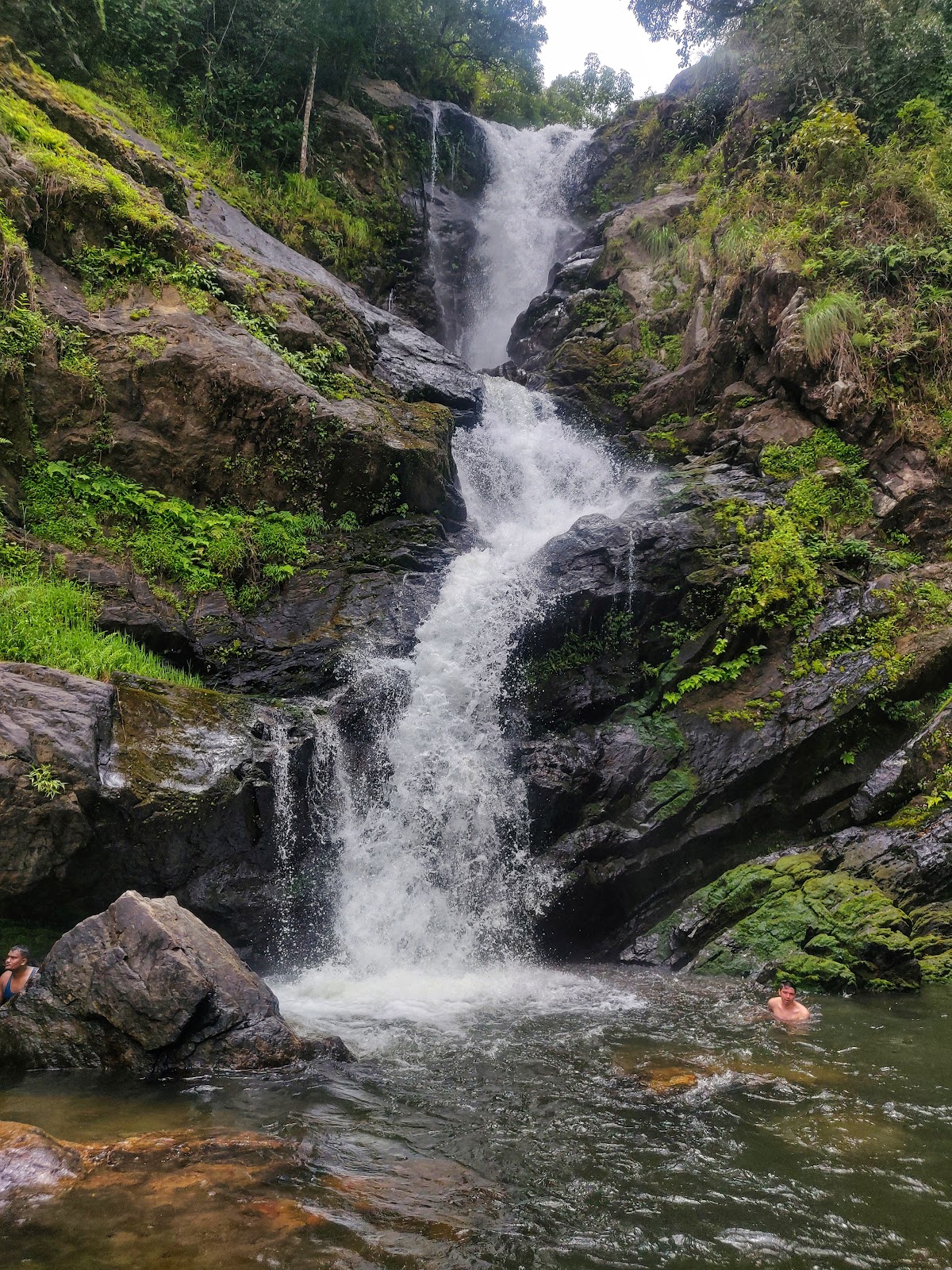Iruppu Falls - Brahmagiri