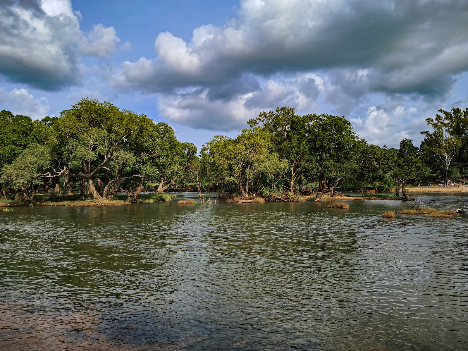 Dubare Elephant Camp