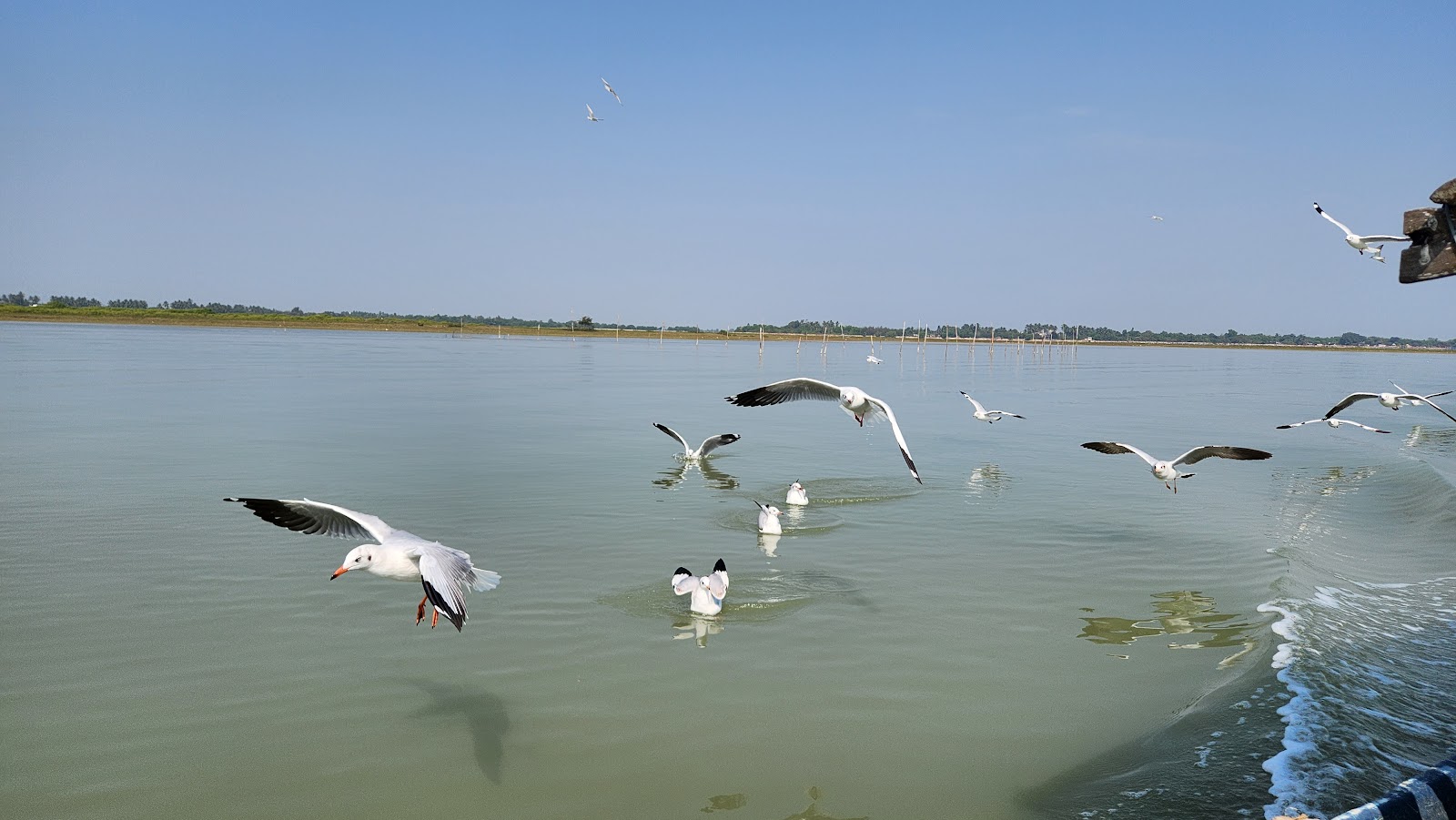 Chilika Lake