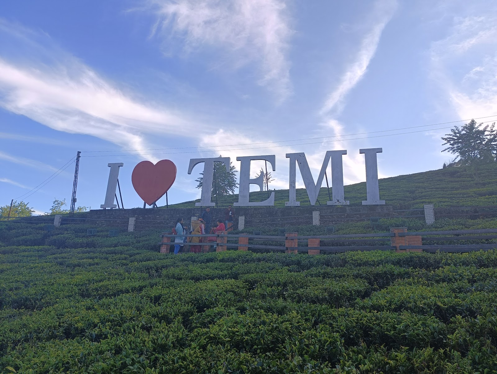 Local Tea Garden Walk