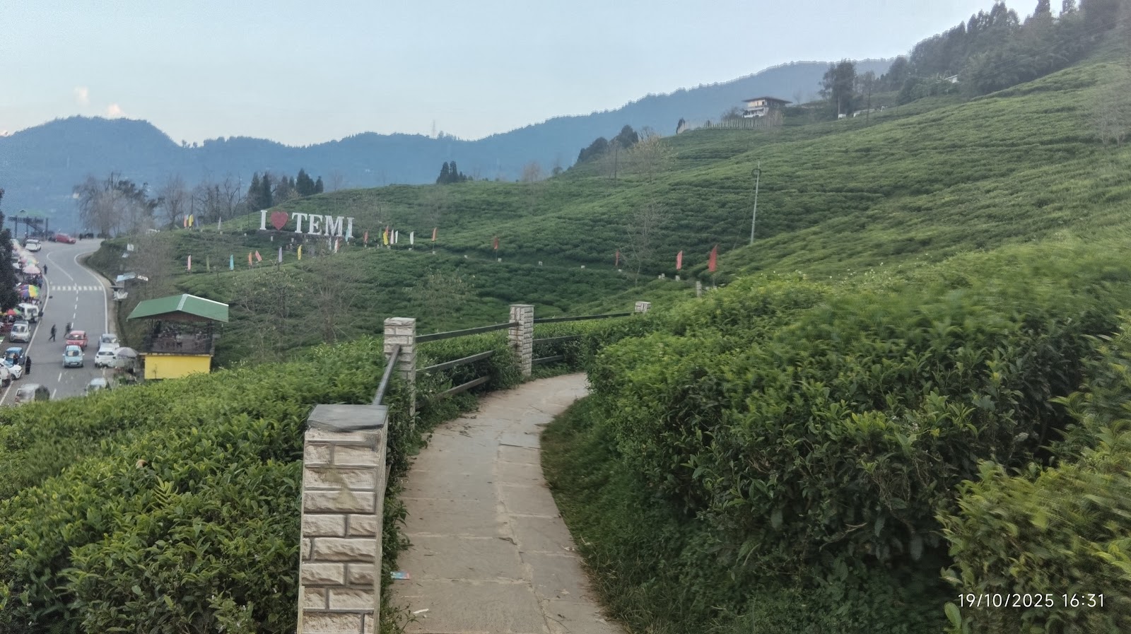 Local Tea Garden Walk