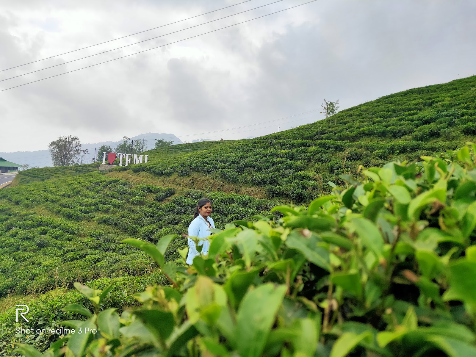 Local Tea Garden Walk