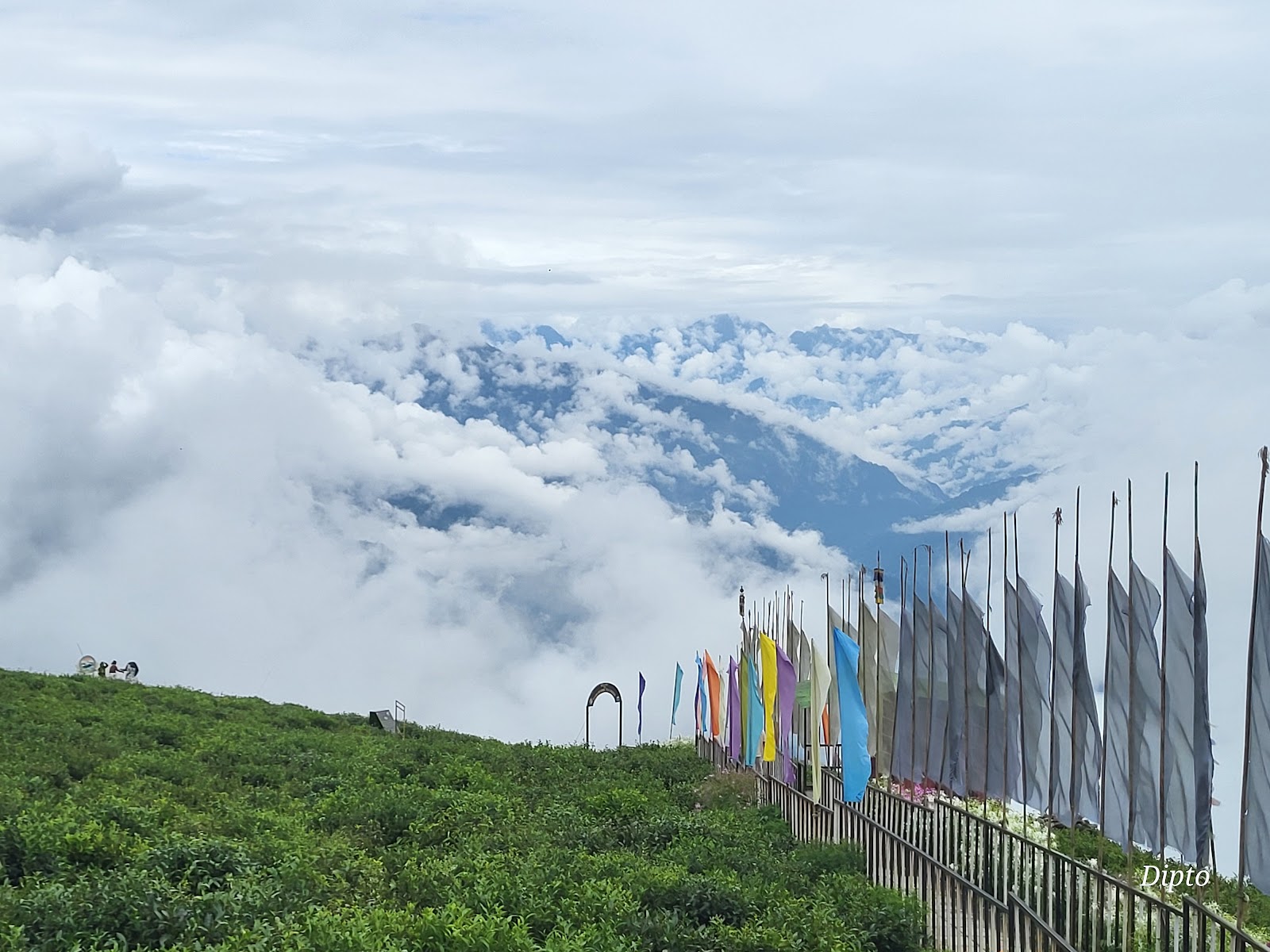 Local Tea Garden Walk