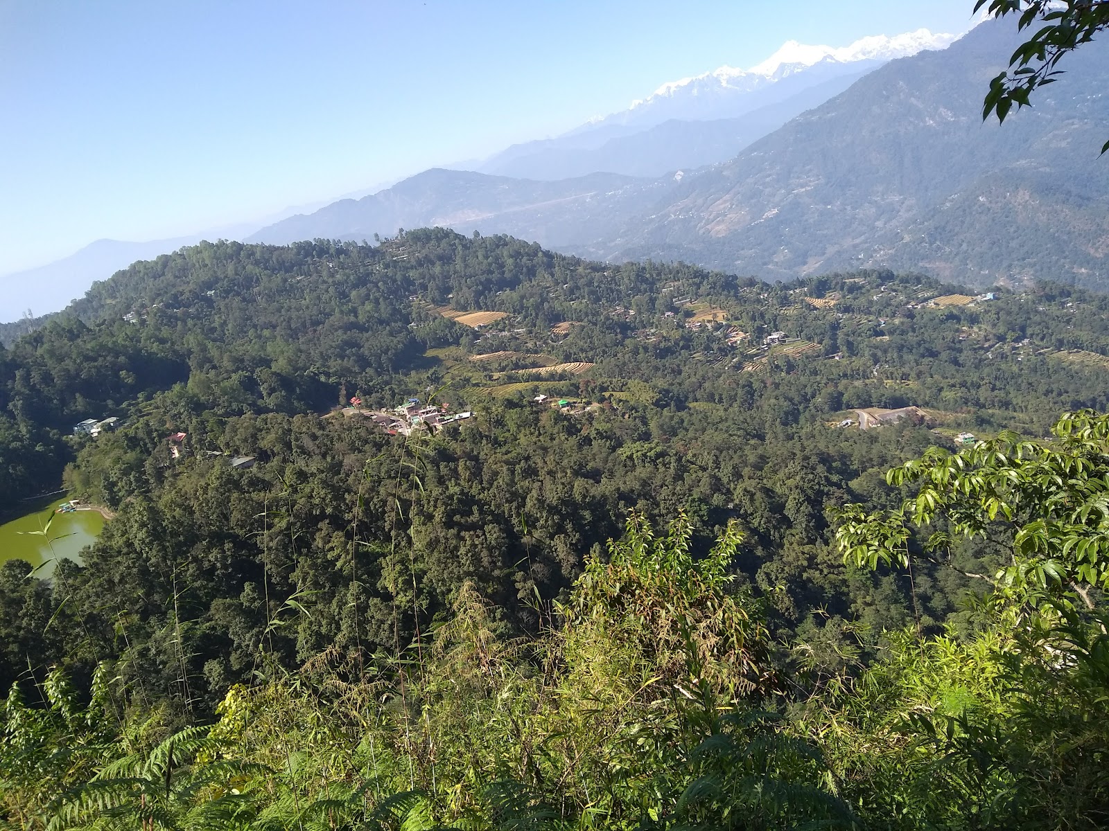 Mankhim Sacred Grove