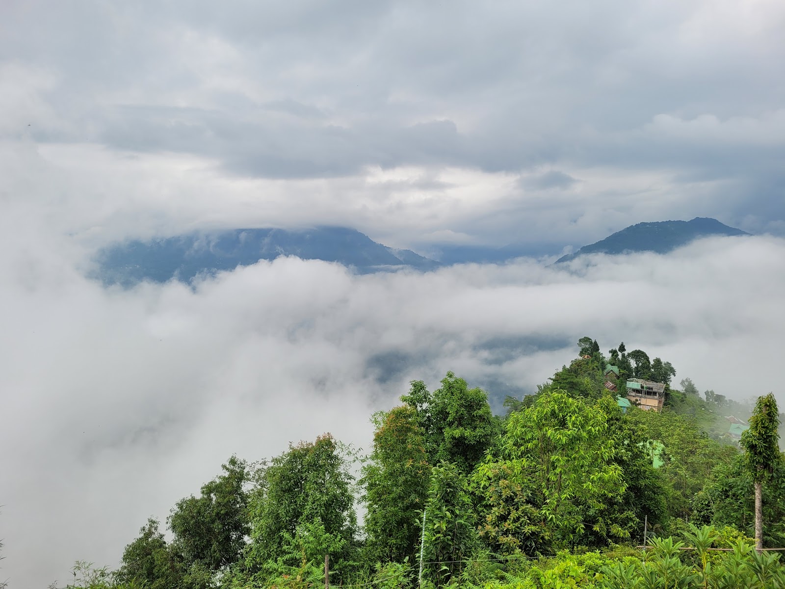 Mankhim Sacred Grove