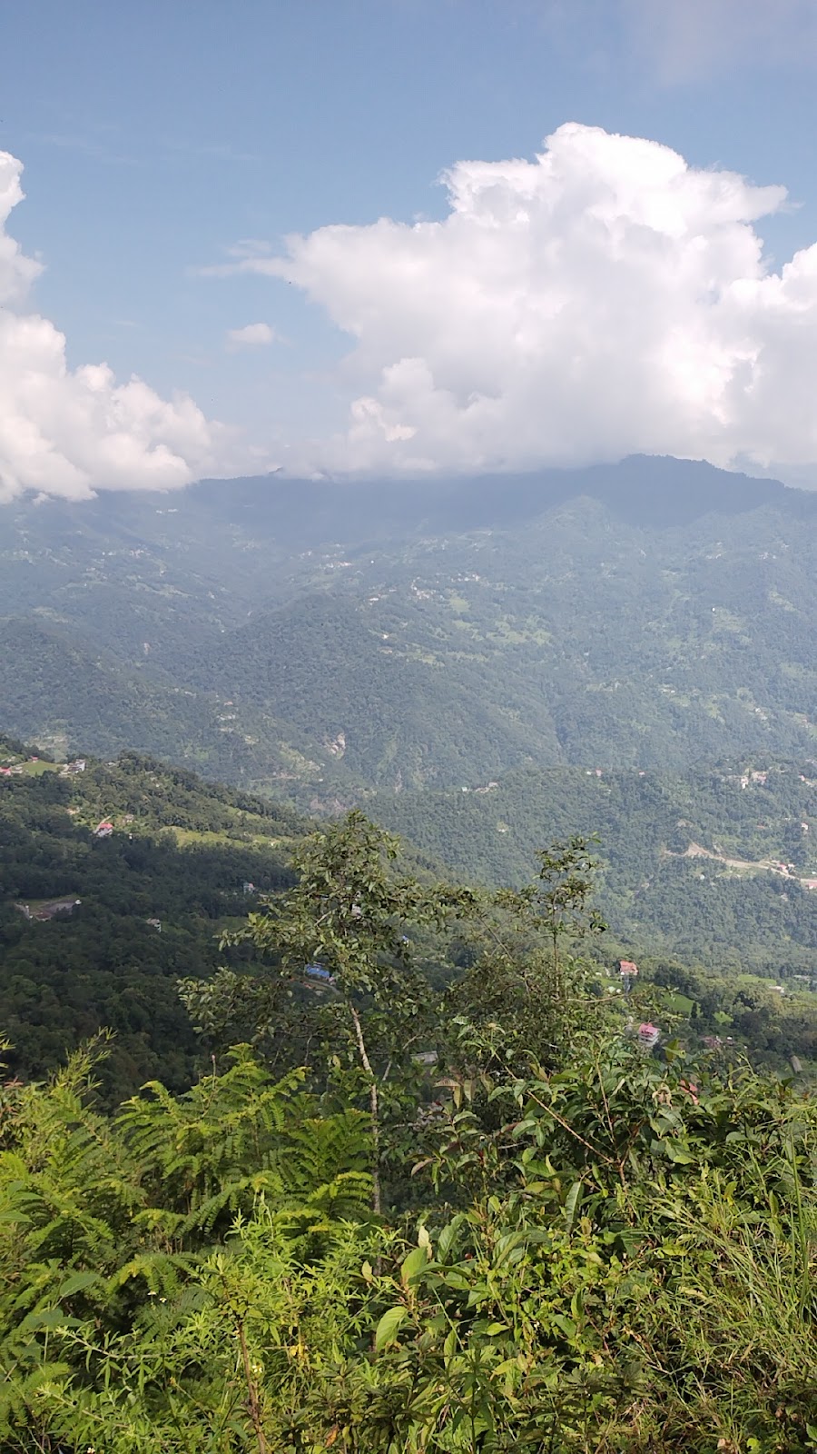 Mankhim Sacred Grove