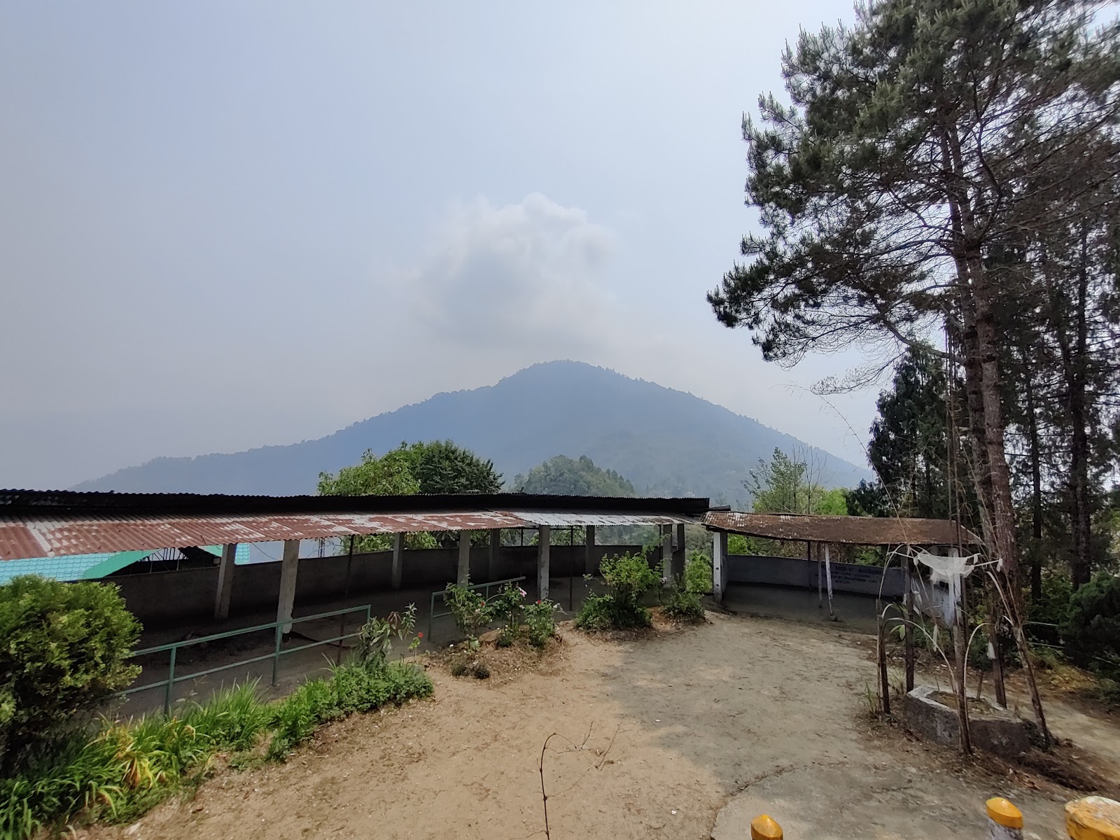 Mankhim Sacred Grove