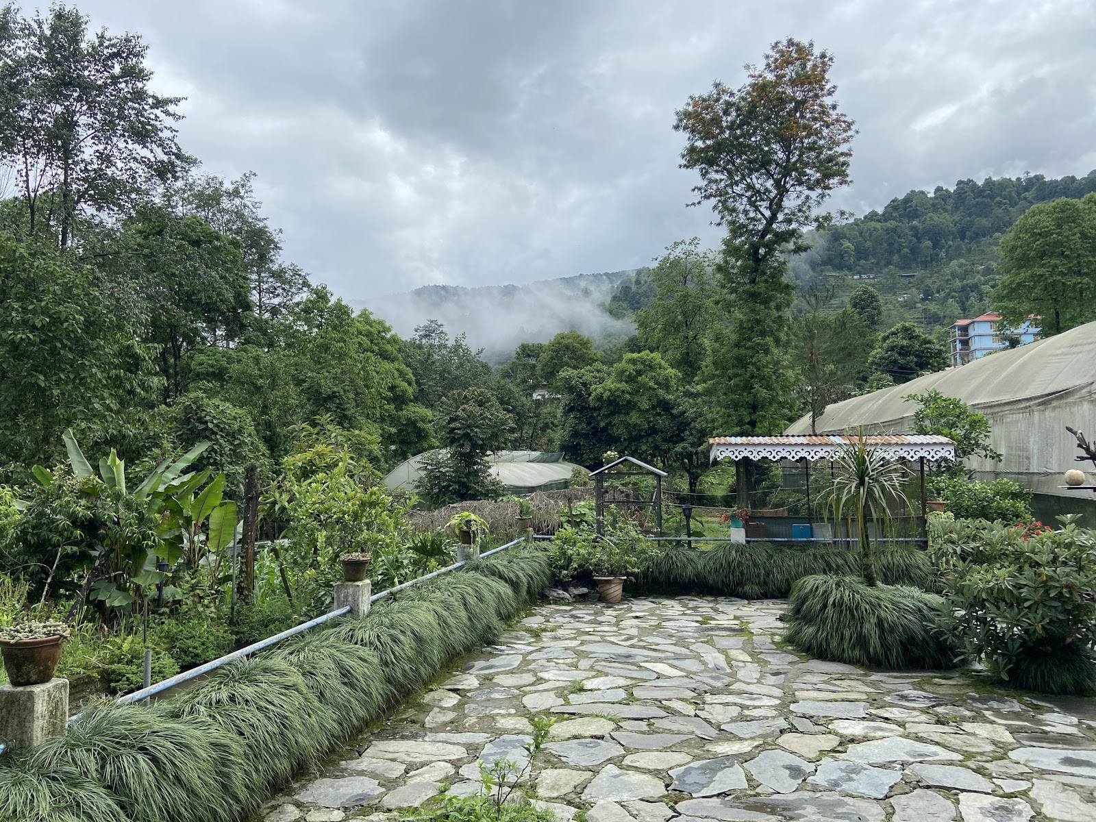 Village Homestay Visit