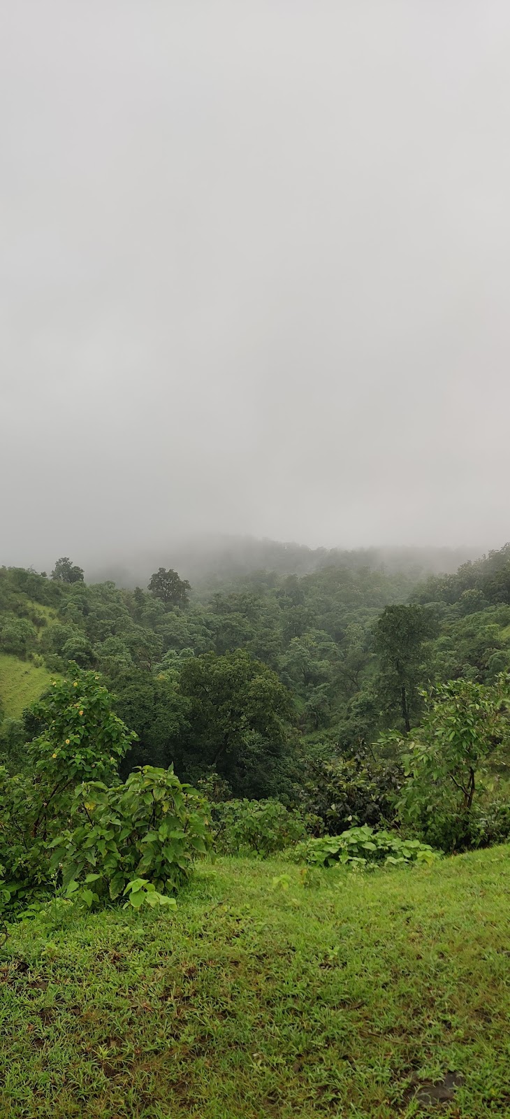 Melghat Tiger Reserve