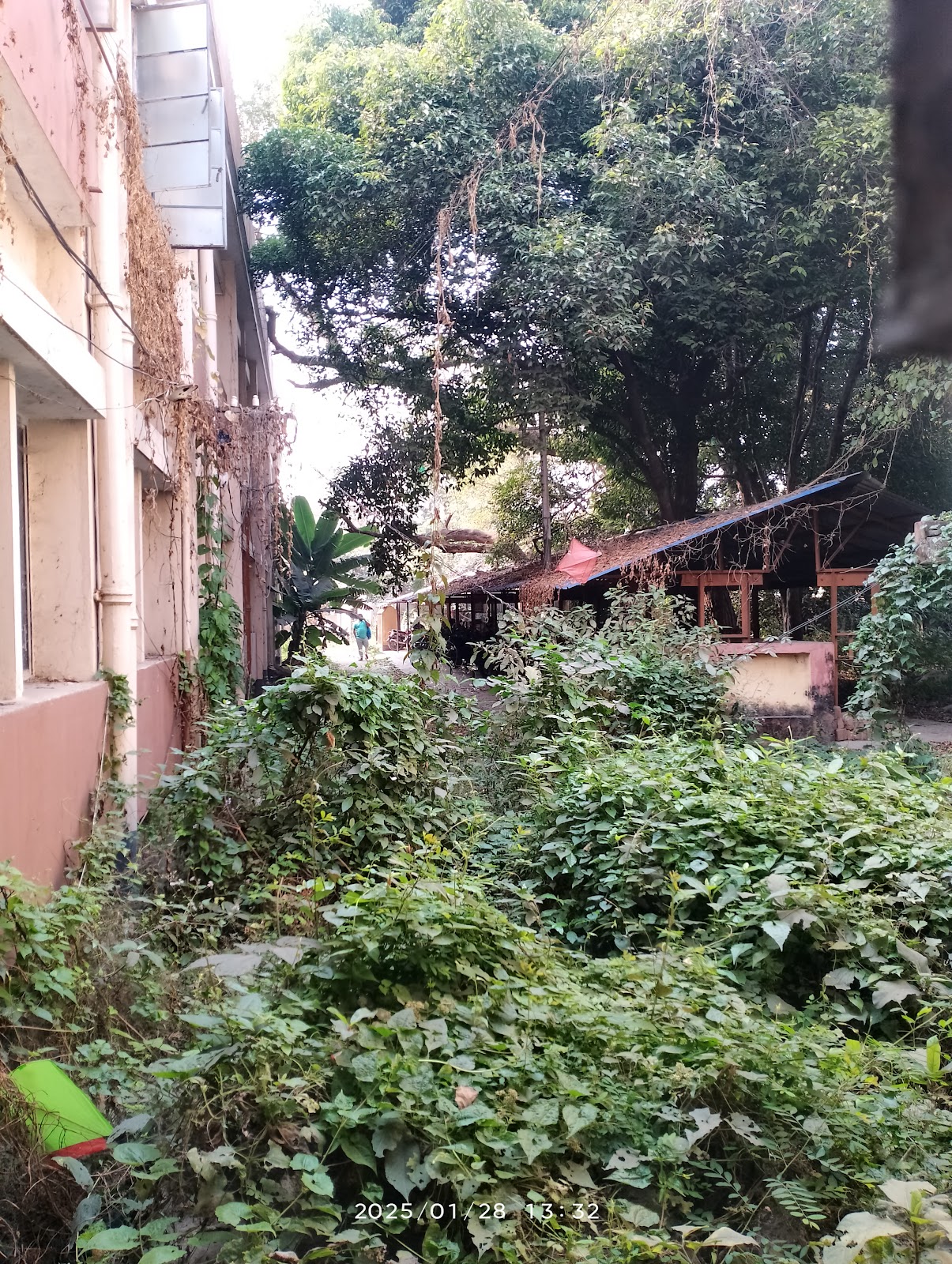 Burdwan University Museum