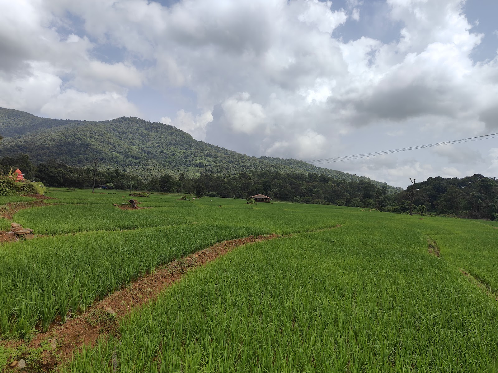 Cotigao Wildlife Sanctuary