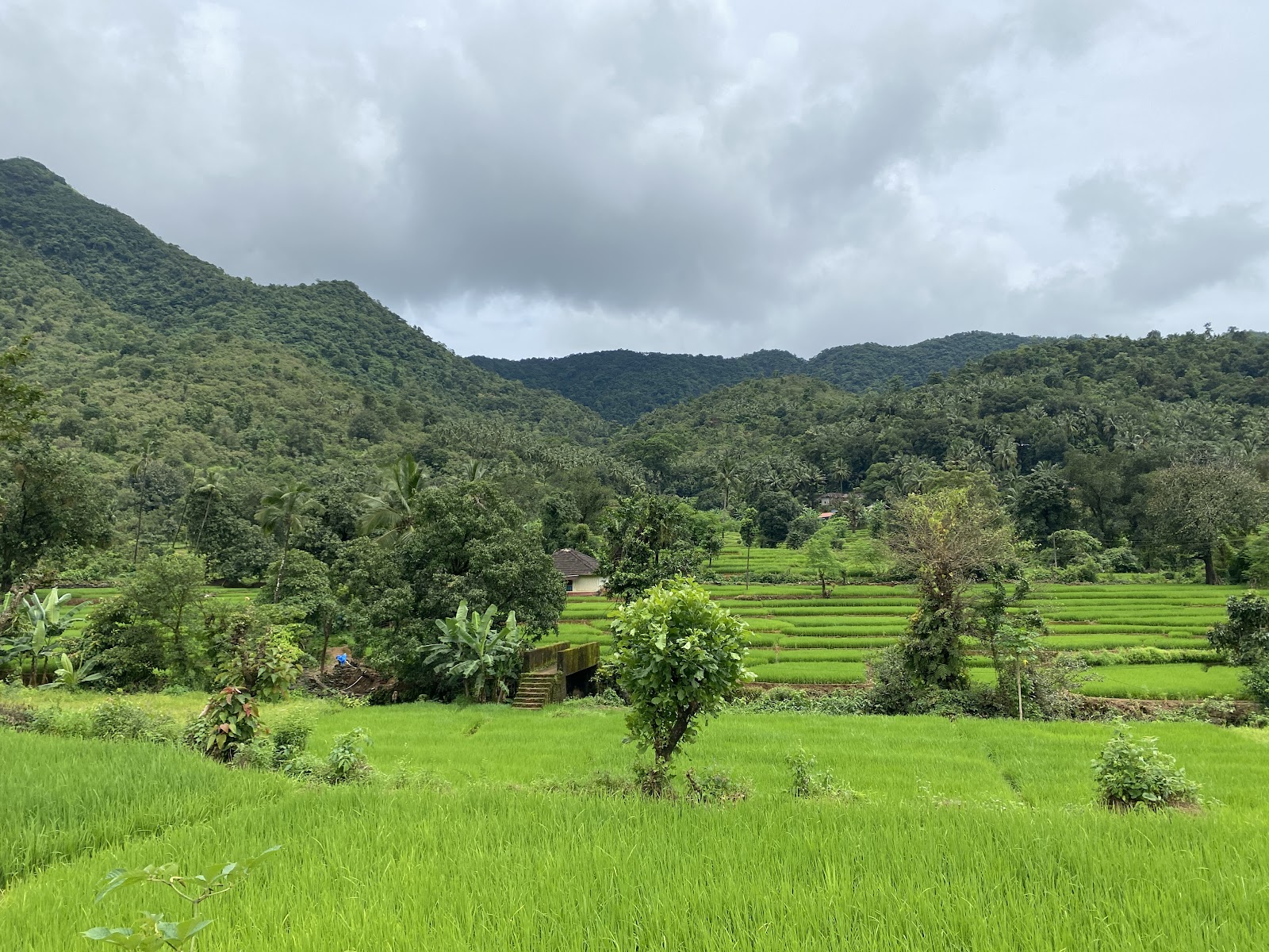 Cotigao Wildlife Sanctuary