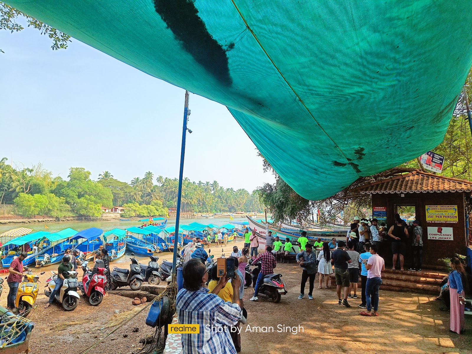 Dolphin Watching Tour