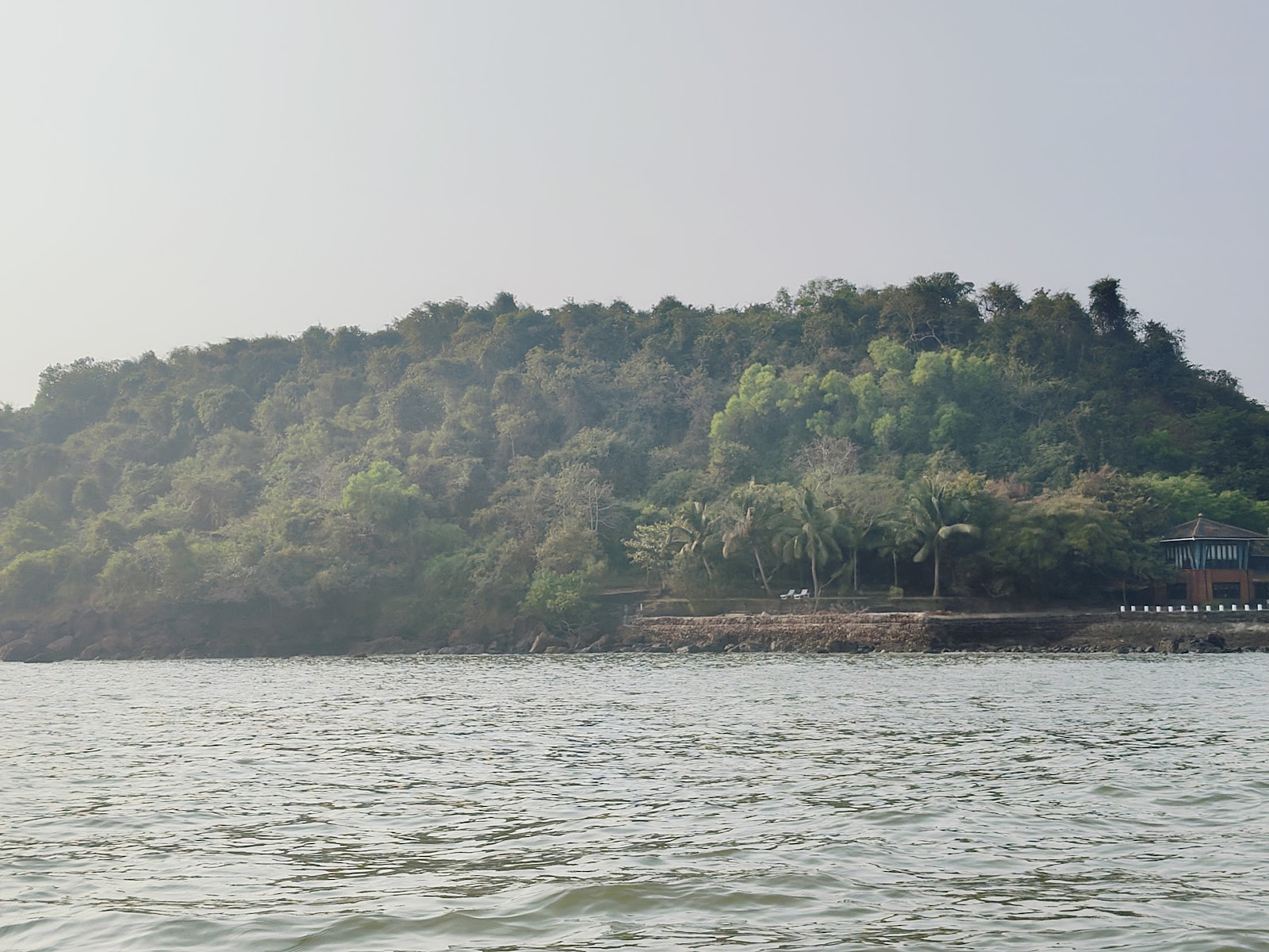 Dolphin Watching Tour