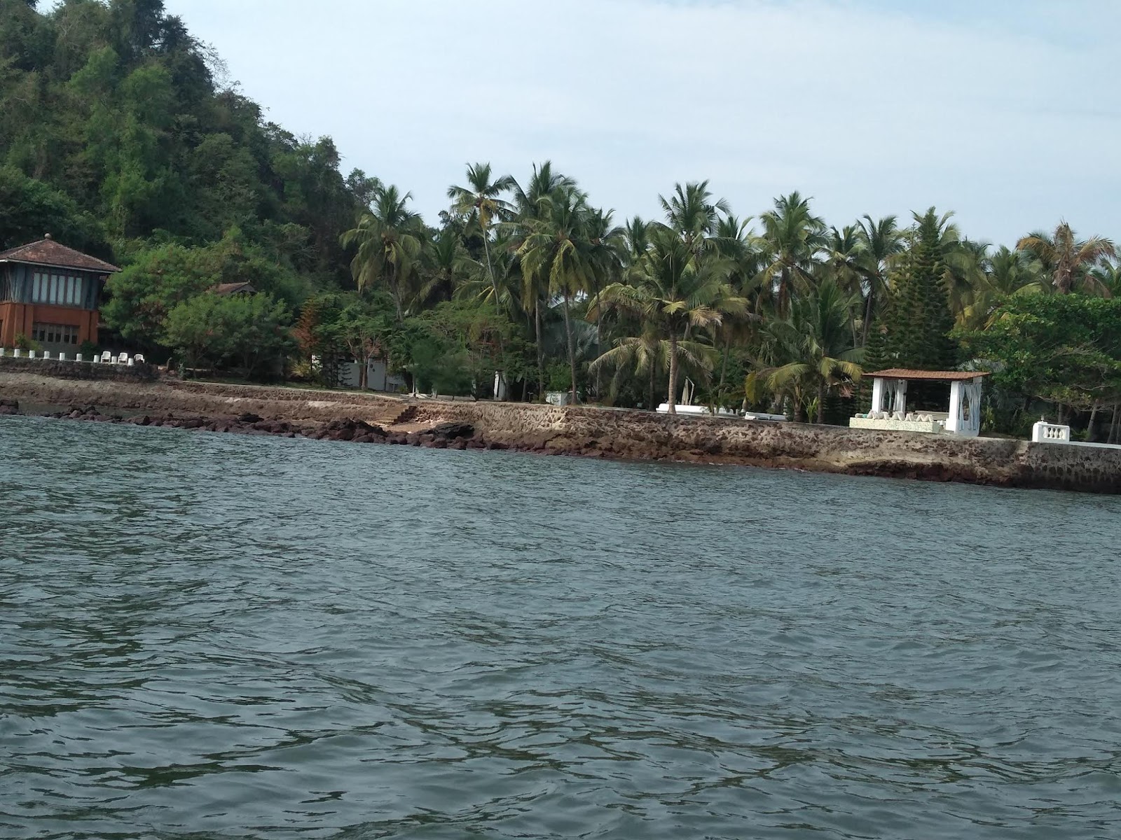 Dolphin Watching Tour