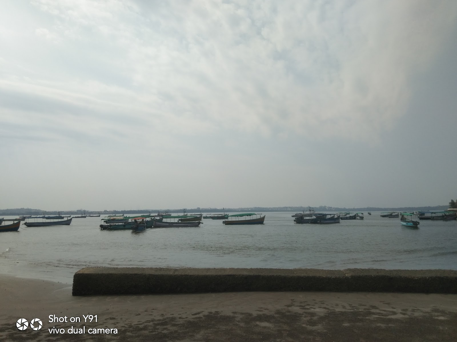 Dolphin Watching Tour