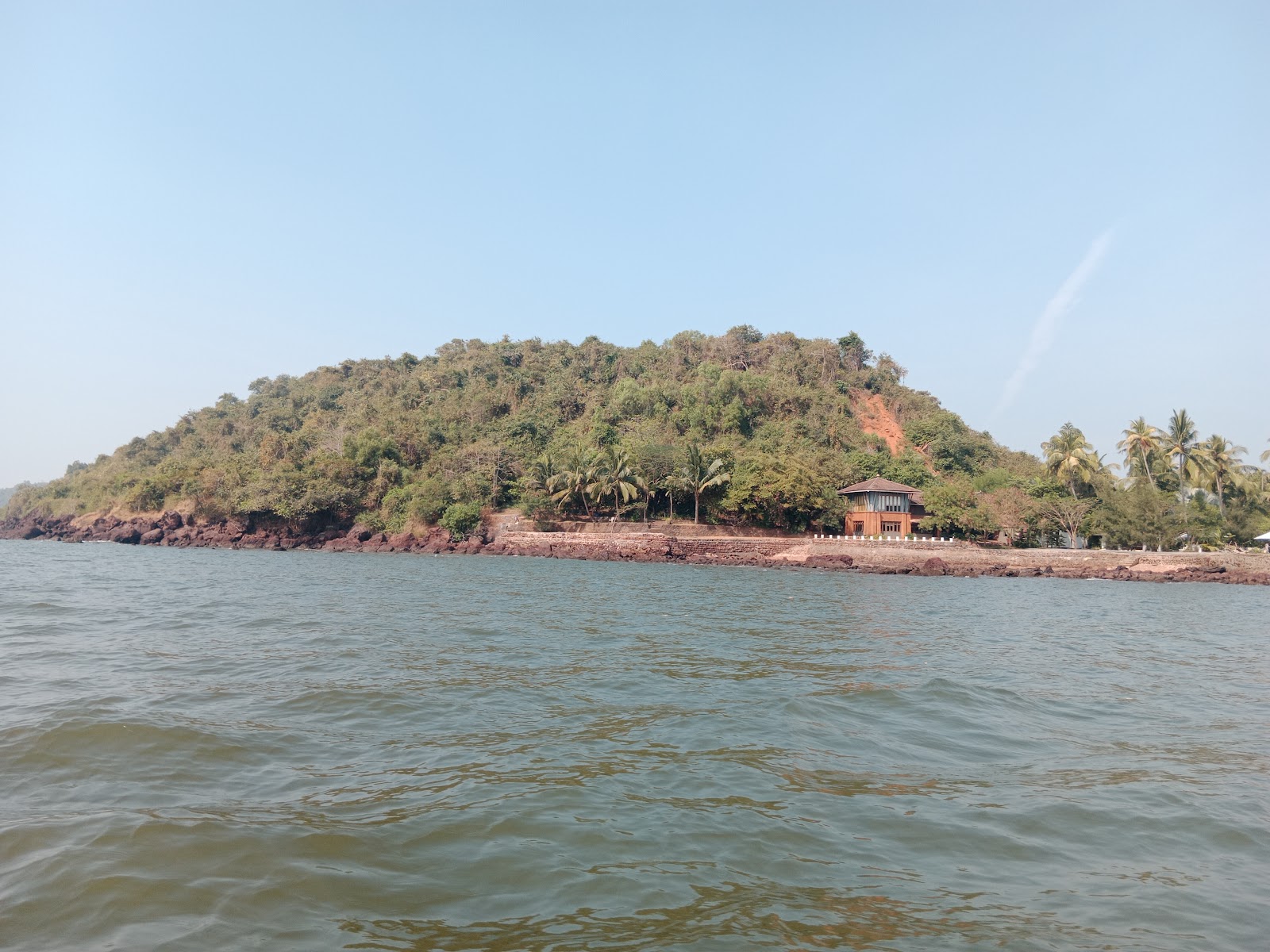 Dolphin Watching Tour