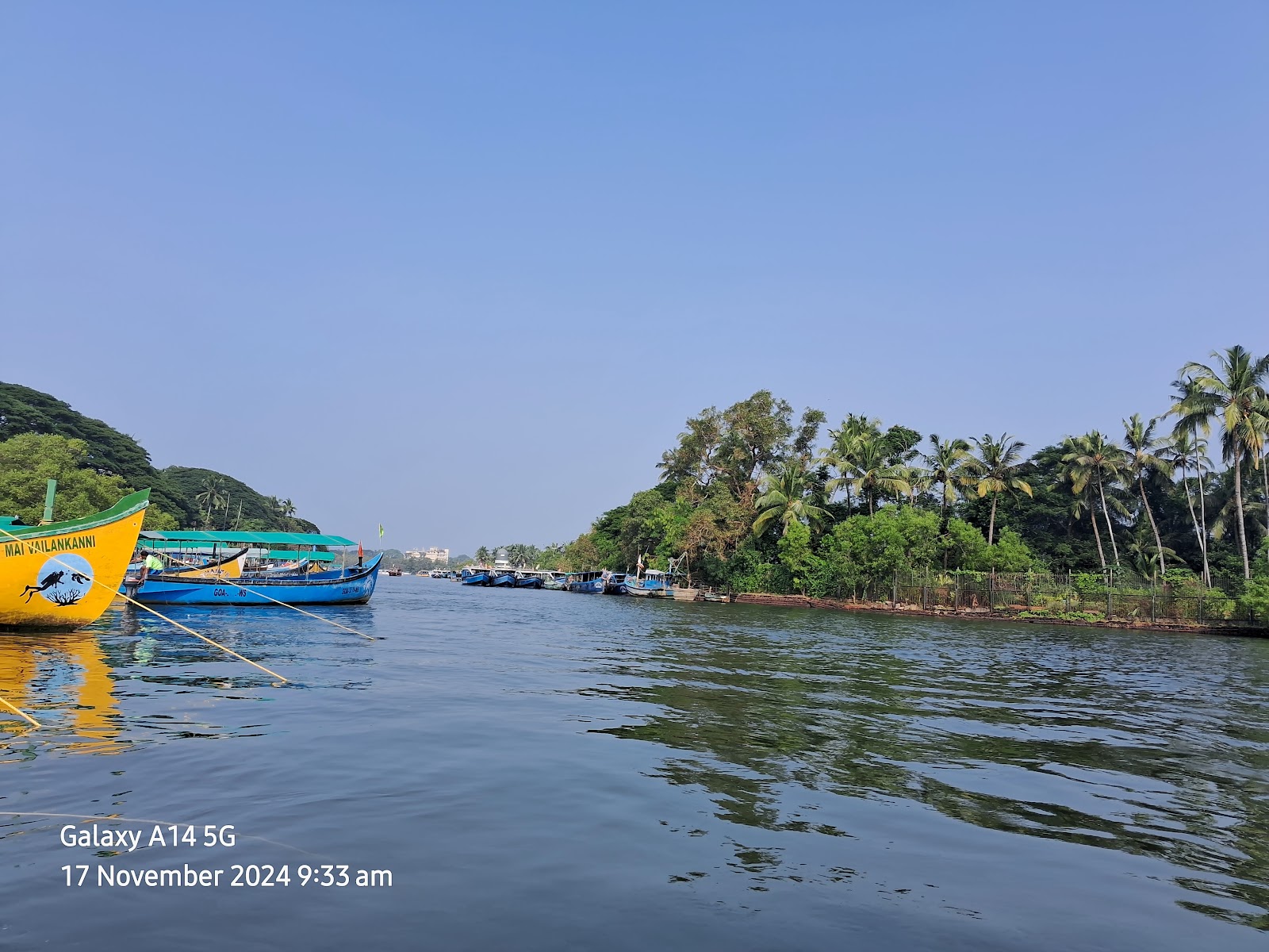 Dolphin Watching Tour