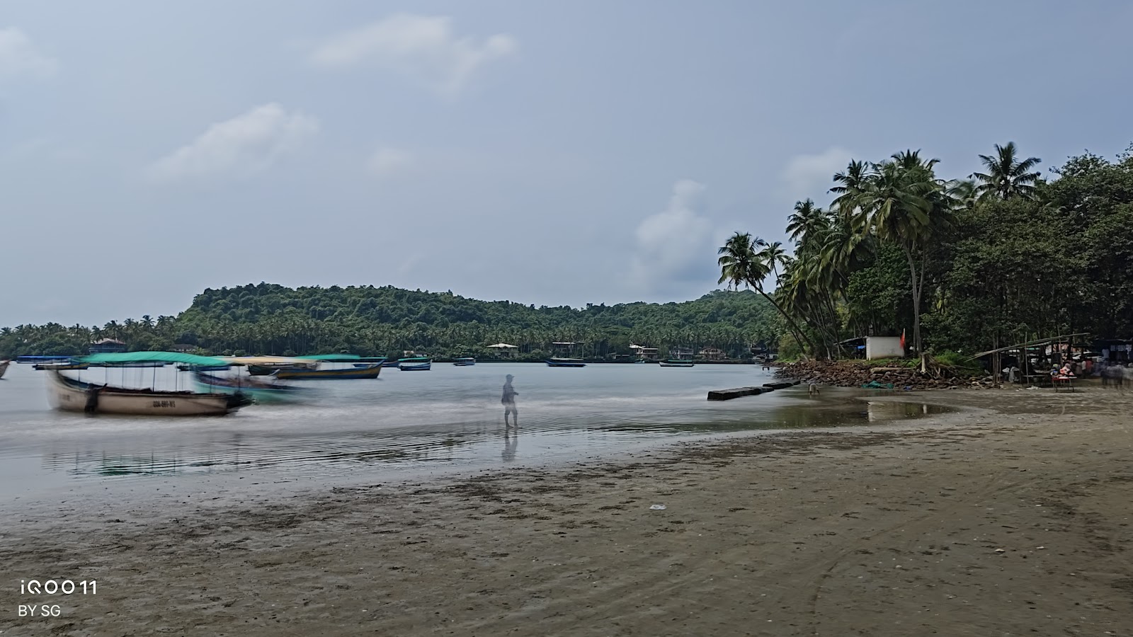 Dolphin Watching Tour