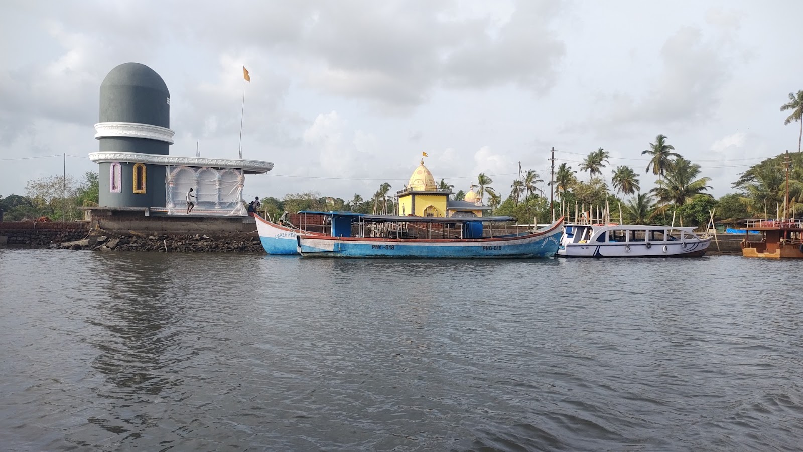 Dolphin Watching Tour