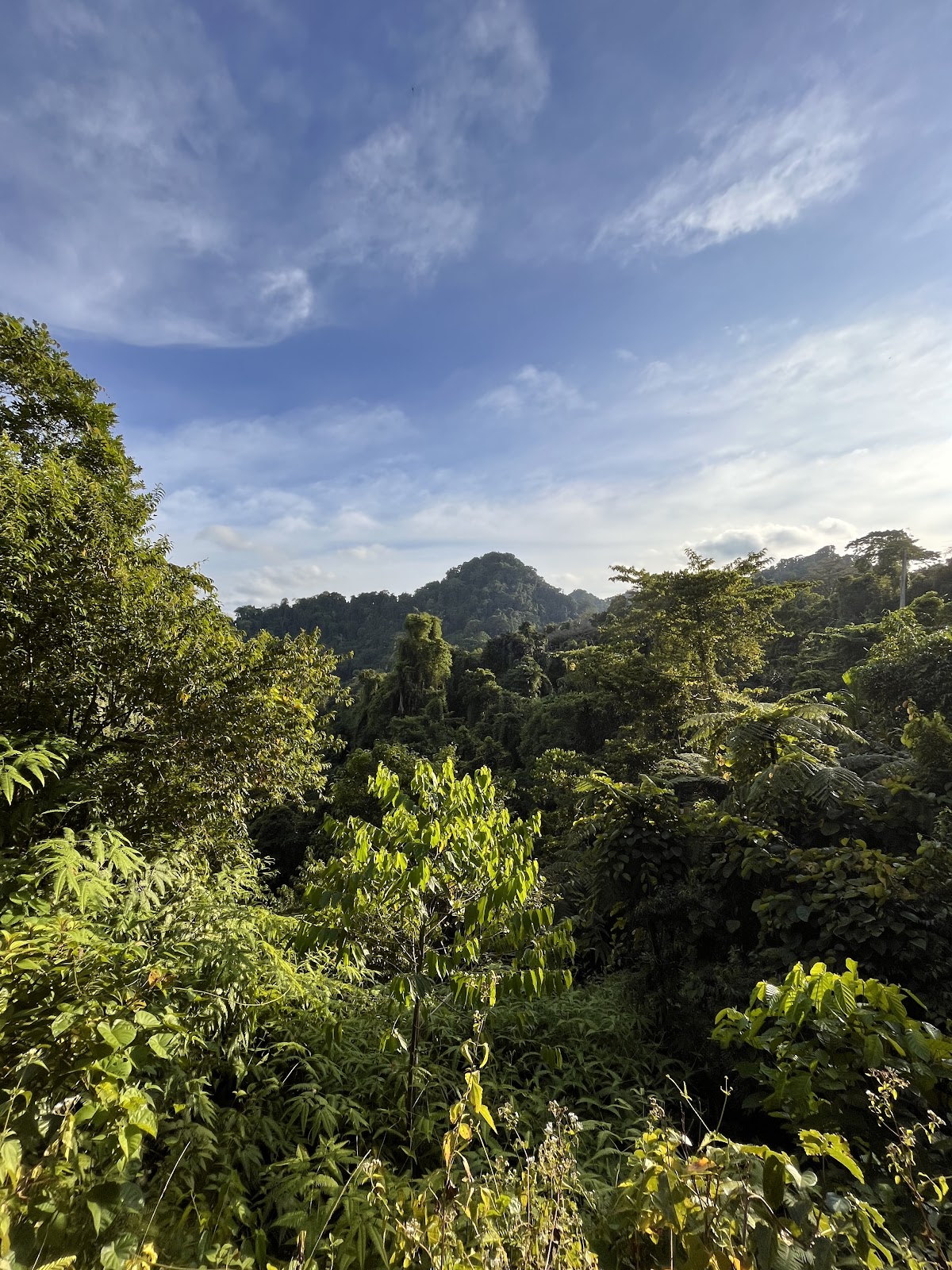 Campbell Bay National Park