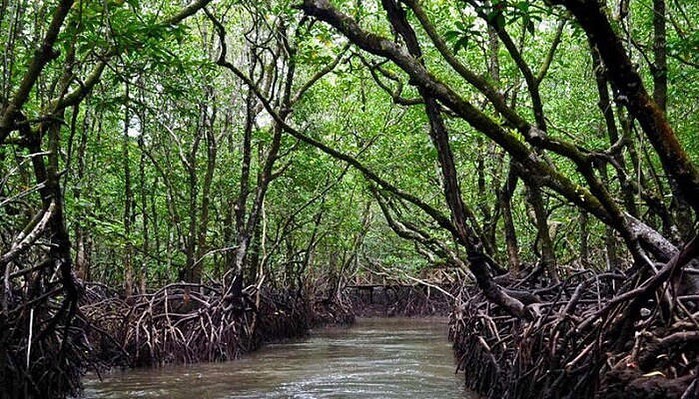 Campbell Bay National Park