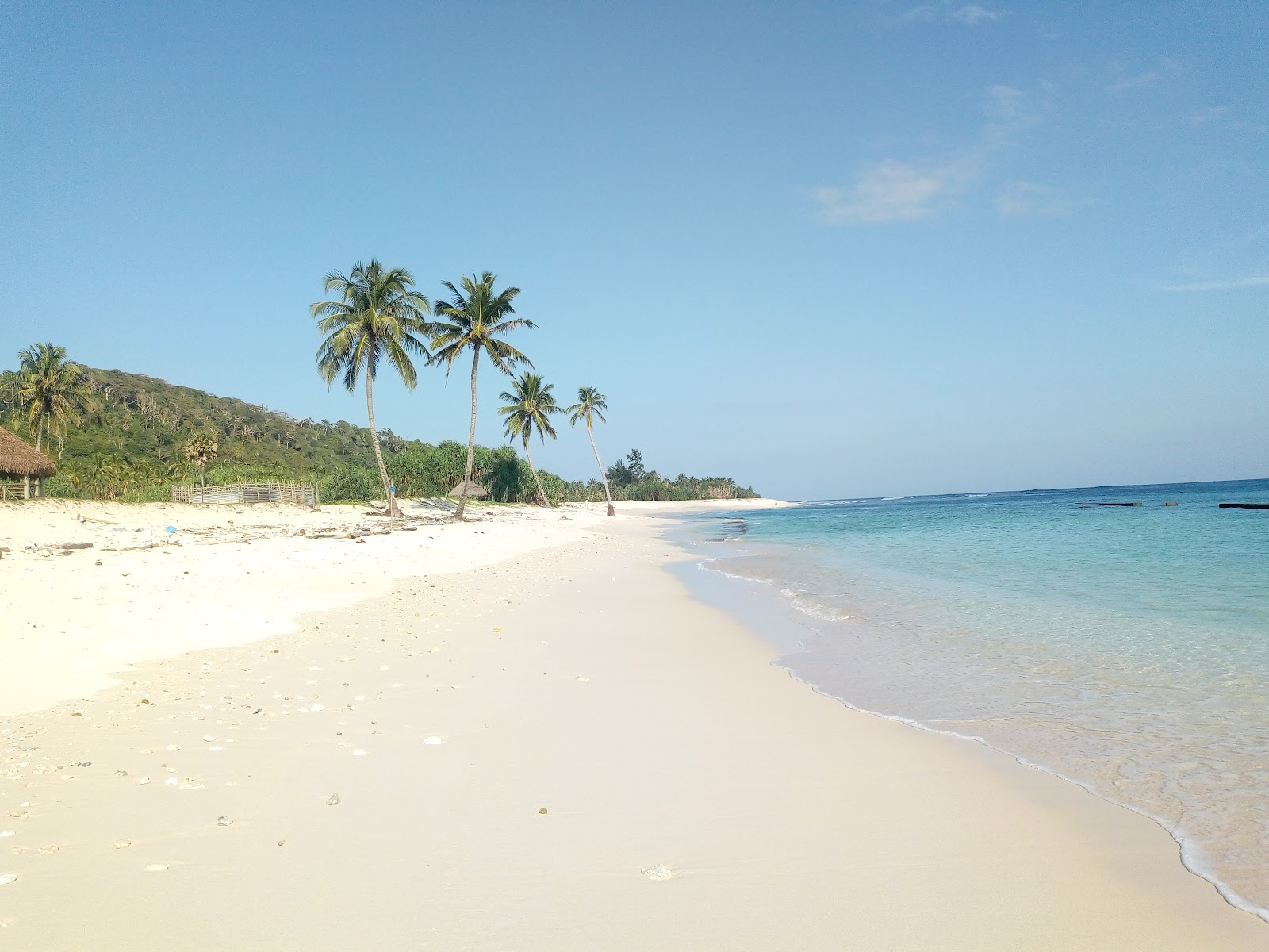 Campbell Bay National Park