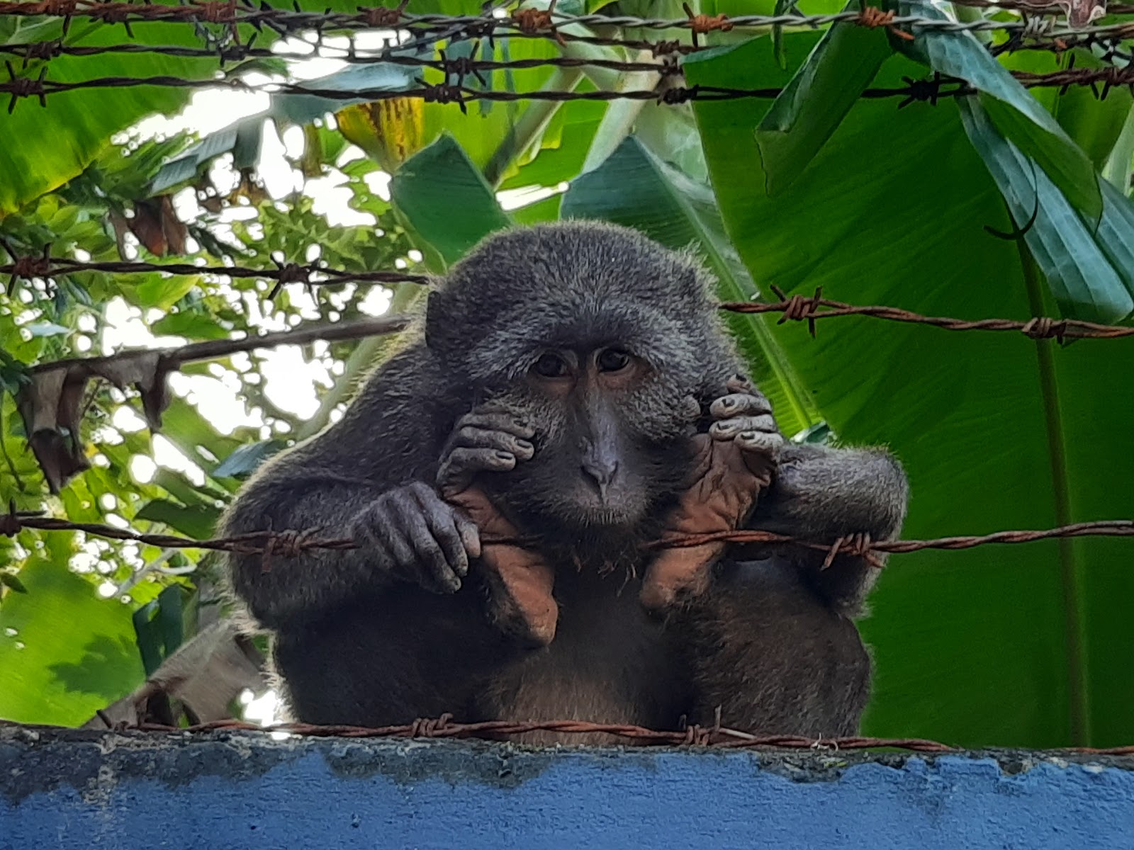 Campbell Bay National Park