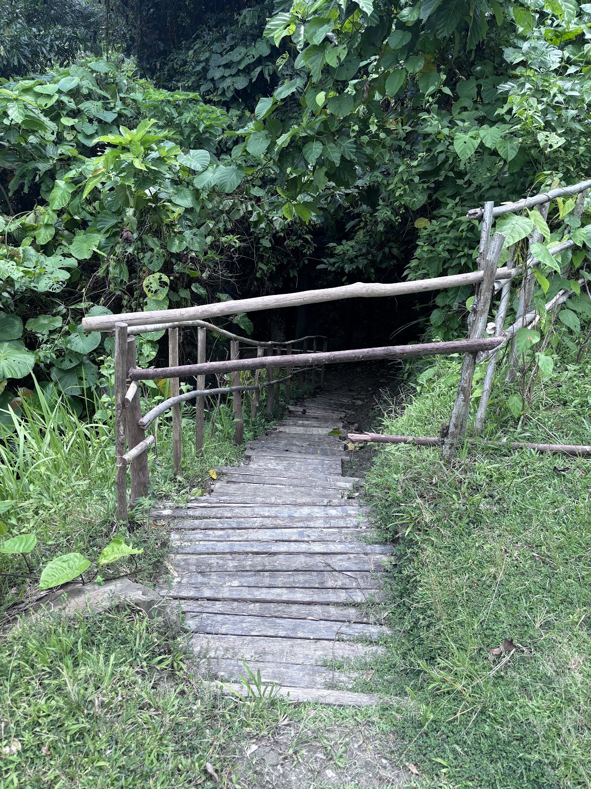 Great Nicobar Biosphere Reserve