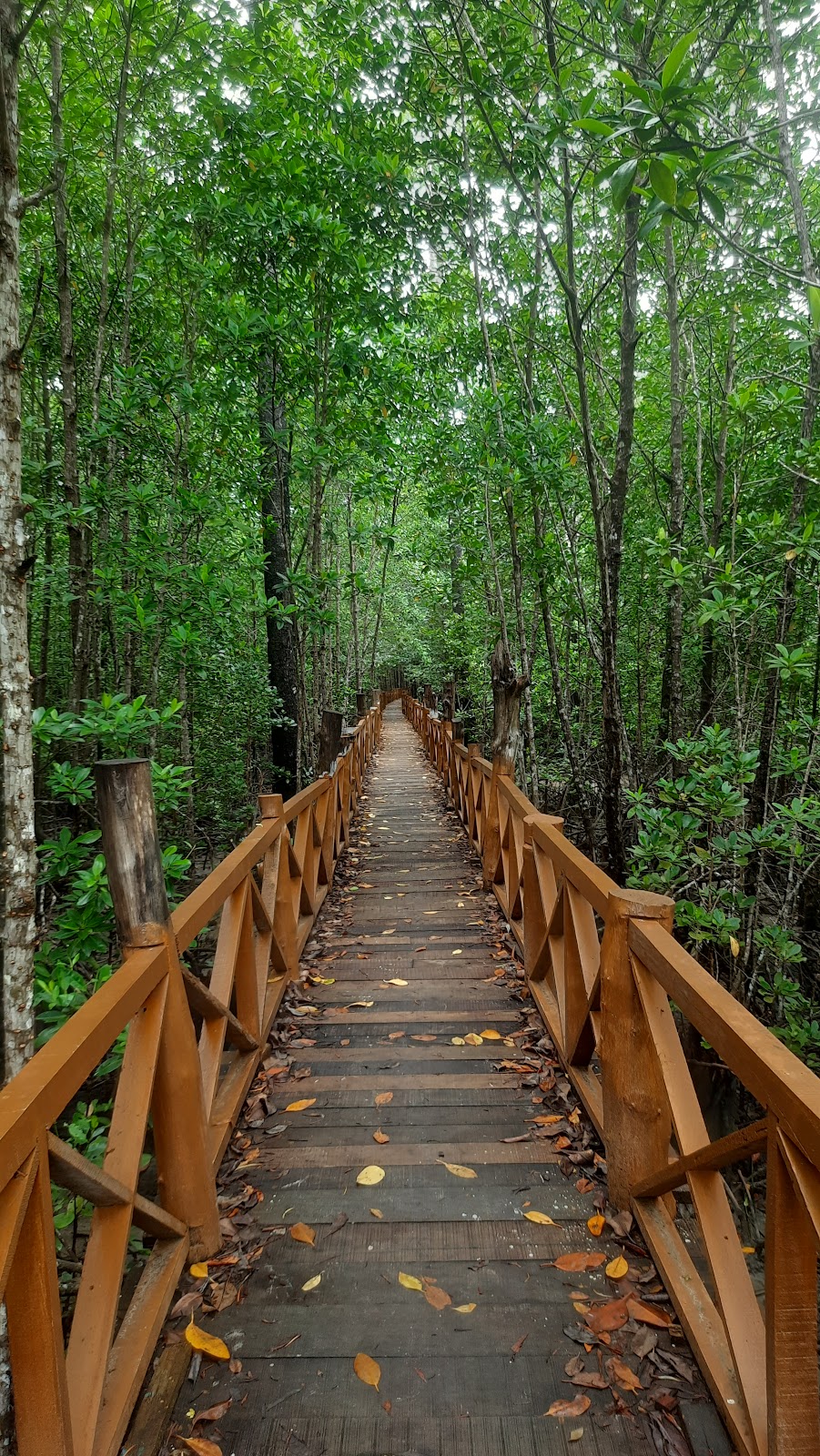 Local Village Cultural Walk
