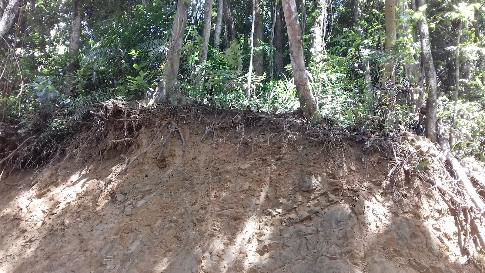 Local Village Cultural Walk