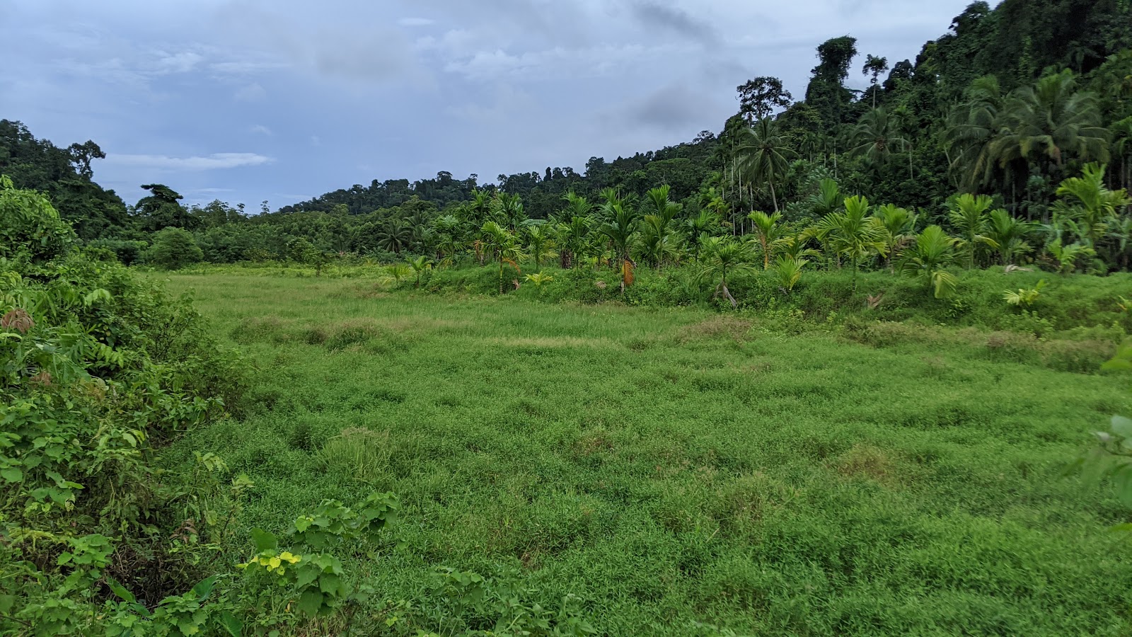 Local Village Cultural Walk